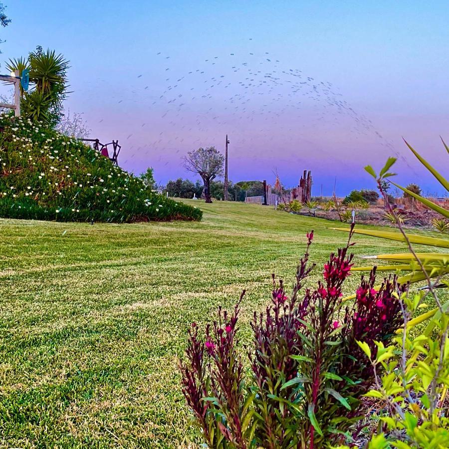 Monte Dos Pocos Hotel Алжустрел Екстериор снимка